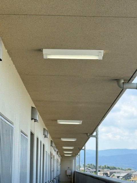 市営住宅の共用廊下の天井に並ぶ交換後の照明器具